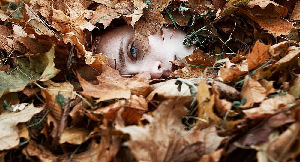 stock-photo-178846119